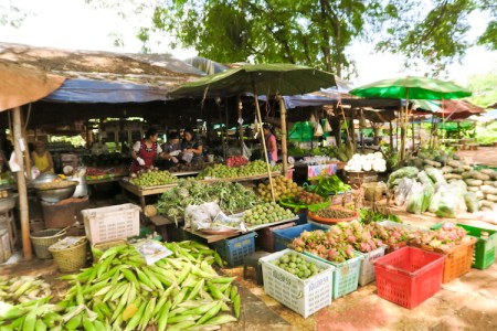 thailand-swimwithelephant-01