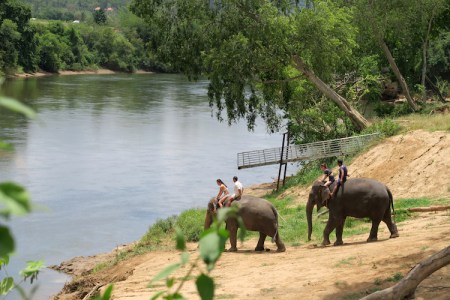 thailand-swimwithelephant-05jpg