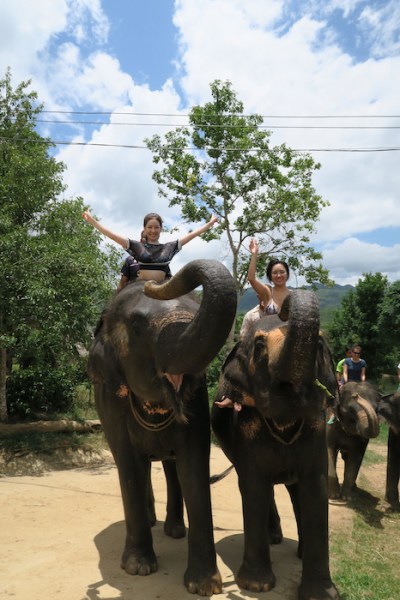 thailand-swimwithelephant-13